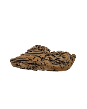 Driftwood XS