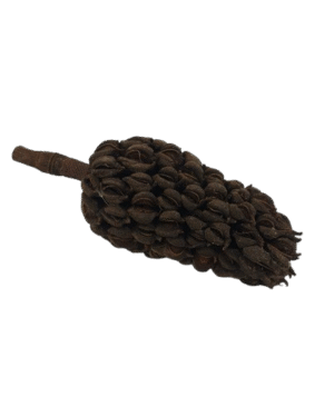 Magnolia Pod