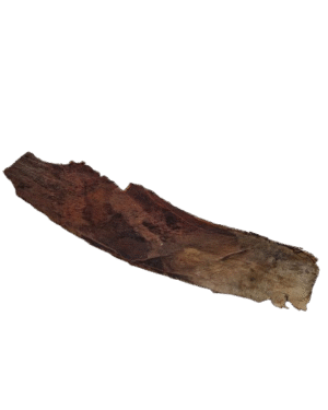 Palm Bark