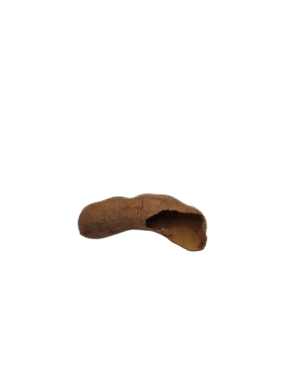 Tamarindus Pod