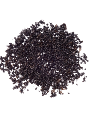 Dried Black Forest Ants